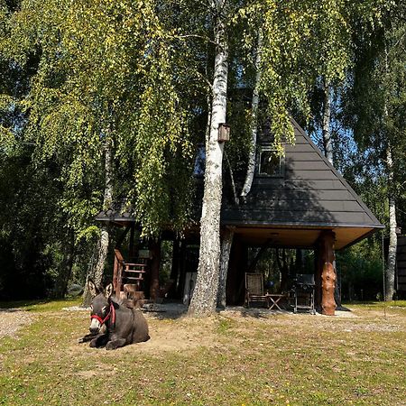 Apartamento Piramida W Uniesieniu Borzytuchom Exterior foto