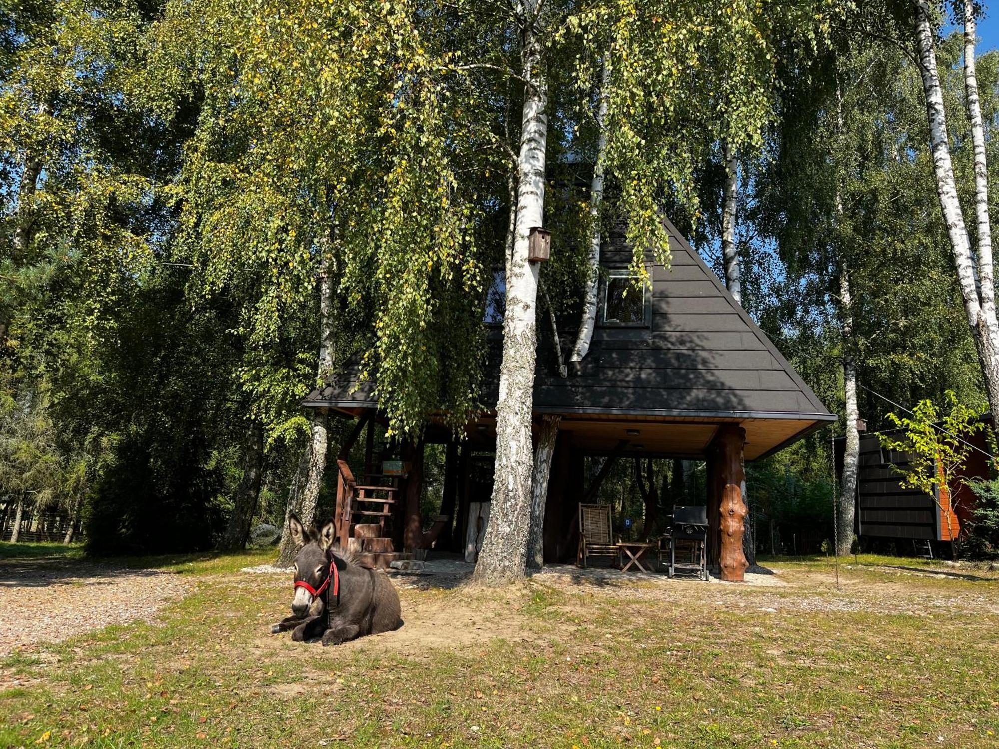 Apartamento Piramida W Uniesieniu Borzytuchom Exterior foto